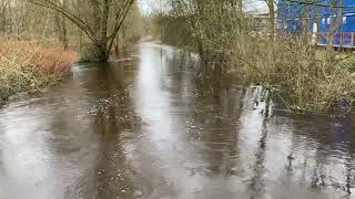 Muehlenau bei Pinneberg mit Hochwasser [upl. by Xavier24]