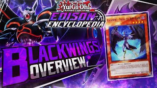 How to Play Blackwings  Edison Encyclopedia [upl. by Aurilia]