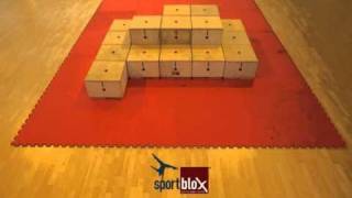 sportblox beta setups 11wmv [upl. by Stucker]