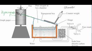 Spirometer Descriptionavi [upl. by Comfort411]