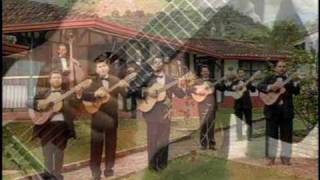 La Rondalla Colombiana  Serenata de amor [upl. by Valery666]