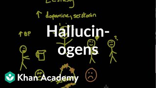 Psychoactive drugs Hallucinogens  Processing the Environment  MCAT  Khan Academy [upl. by Mitran343]