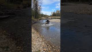 TW200 river crossing advmotorcycle watercrossing motocamping [upl. by Hgielrak]