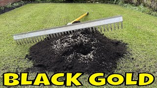 EASY Lawn Revitalization In Time Lapse That Anyone Can Do [upl. by Leeland769]