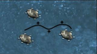 WSO Water Treatment Grade 1 Coagulation amp Flocculation Ch 8 [upl. by Wawro51]