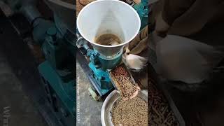 Machine à fabriquer des granules de alimentaires pour animaux [upl. by Asilana]