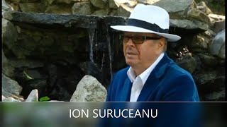 ION SURUCEANU Piese De Colectie Colaj melodii vechi dar Frumoase MUZICA DE PETRECERE [upl. by Itnaihc]