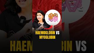 Haemoglobin vs Myoglobin haemoglobin myglobin neetbiology neet2024 riturattewal [upl. by Cohla700]