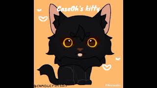 CaseOhs kitty 3 caseoh caseoh MoreCaseOh [upl. by Eittam]