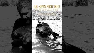 LE SPINNER RIG de A à Z spinner carpfishing fishing carp angler montage catchandrelease [upl. by Rudin892]