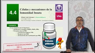 44 CÉLULAS Y MECANISMOS DE LA INMUNIDAD INNATA [upl. by Rasla]