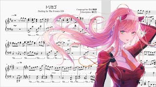 Torikago  Darling In The FranXX ED  Violin Cover [upl. by Nosnhoj]