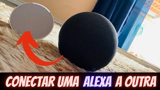 Como PAREAR duas Alexa echo dot [upl. by Caines]