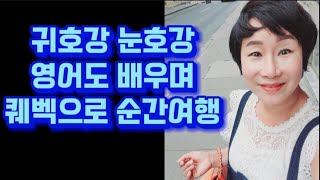 귀세행 퀘벡에서 도깨비 주제곡을 듣고 생생한 영어회화까지 영어와 여행 끝부분에서 영어문장만 연습 [upl. by Sillyrama884]