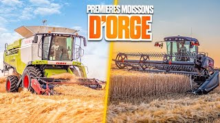 😱 PREMIERES MOISSONS DORGE 2023  Moisson décomposé pour lETA Poussard 🌾 [upl. by Fritze]