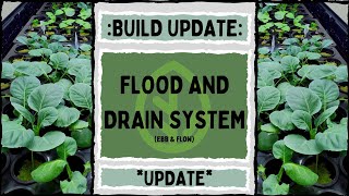 UPDATE Flood and Drain Build  On the Grow [upl. by Ahsinoj]