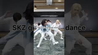 SKZ relay dancesubscribekpopyoumakestraykidsstaytrendingstraykidstrendingshorts [upl. by Remled]