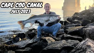 Cape Cod Canal Striped Bass NEW PB 43 Inches July 23rd 2023 [upl. by Hsirrehc371]