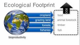 Population  video2 The ecological footprint [upl. by Gunter718]