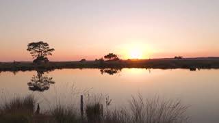 atardecer en los llanos orientales [upl. by Pickering]