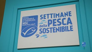 Settimane della Pesca Sostenibile 2024 wrapped [upl. by Agnola]