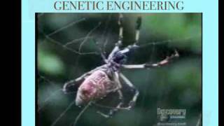 Genetic Engineering Explained [upl. by Marcile944]