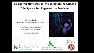 Bioelectric Networks as the Interface to Somatic Intelligence for Regenerative Medicine [upl. by Wright]