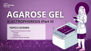 Agarose Gel Electrophoresis  Dr Deepika Malik  Learn Microbiology With Me [upl. by Ogawa]