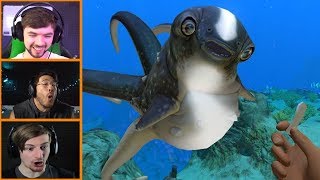 Lets Players Reaction To Playing With The CuddleFish  Subnautica [upl. by Hasseman135]