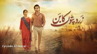 Zard Patton Ka Bunn  Episode 20 Teaser   Sajal Ali  Hamza Sohail   HUM TV720PHD [upl. by Auston322]