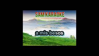 No son palabritas ◘◘◘ RIGO TOVAR ◘◘◘ karaoke [upl. by Eeluj]