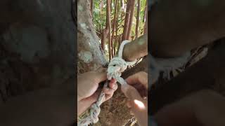 KNOTS FOR A HAMMOCK relaxing shortsfeed [upl. by Hughie359]