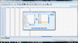 Computing Scale Scores in SPSS [upl. by Torray772]