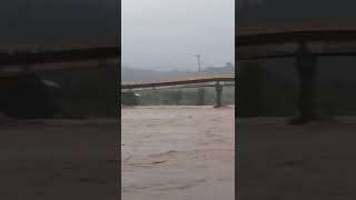 Lluvias inundaciones CompartirRio San Pedro Zamora completamente lleno su caudal [upl. by Etteniuq202]