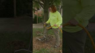 Deep root tree watering treework tree shorts arborist [upl. by Eycats]