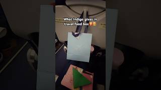 Indigo domestic flight experience  flight vlog [upl. by Zachary]