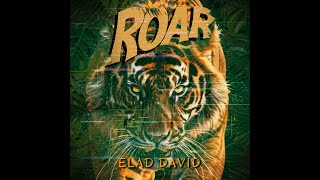 Elad David  Roar Official Katy Perry Cover katyperry roar cover acoustic eladdavid [upl. by Sher]