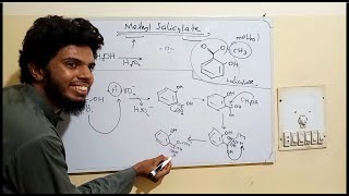 Methyl Salicylate synthesis mechanism [upl. by Grane]