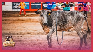 🔴 EnVivo Toros de Zapote  🌤️ Noche 🐂 Sábado 06 de Enero 2024 [upl. by Eanehs662]