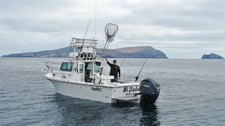 Exploring and Fishing Tiny Remote Island Catch and Cook [upl. by Adnylem550]