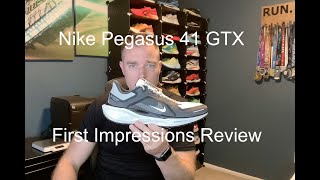 Nike Pegasus 41 GTX First Impressions review [upl. by Peck489]