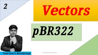 pBR322 Plasmid  Clonning Vectors  Hindi [upl. by Grogan]