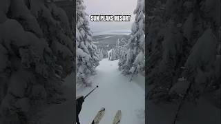 FIRST Winter Tracks at Sun Peaks Heres what we found [upl. by Kondon855]