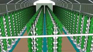 Vortex Aquaponics  Eco Built Systems  70 FT Hoop House [upl. by Traggat]