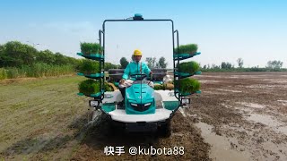 Kubota rice transplanter I Kubota SPV6MD I Rice transplanter [upl. by Ferino681]