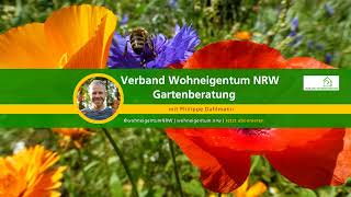 Livestream von Verband Wohneigentum NRW [upl. by Aunson]