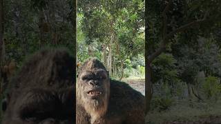 quotKing Kong ATTACKS Village Boy in the Wild 🦍🌲 Can He Escapequot shorts viralvideo fighting reels [upl. by Hasila]