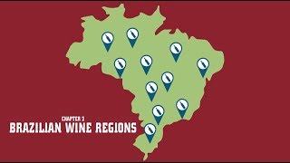 A Taste of Brazil  Brazilian Wine Regions [upl. by Eberta]