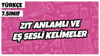 7 Sınıf Türkçe  Zıt Anlamlı ve Eş Sesli Kelimeler  2022 [upl. by Cima298]