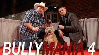 AMERICAN BULLY SHOW  BULLY MANIA 4  SHOW ONE [upl. by Carnay]